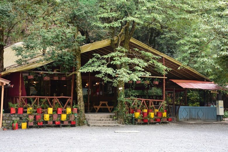 Hotel Ayar Jungle Lodges