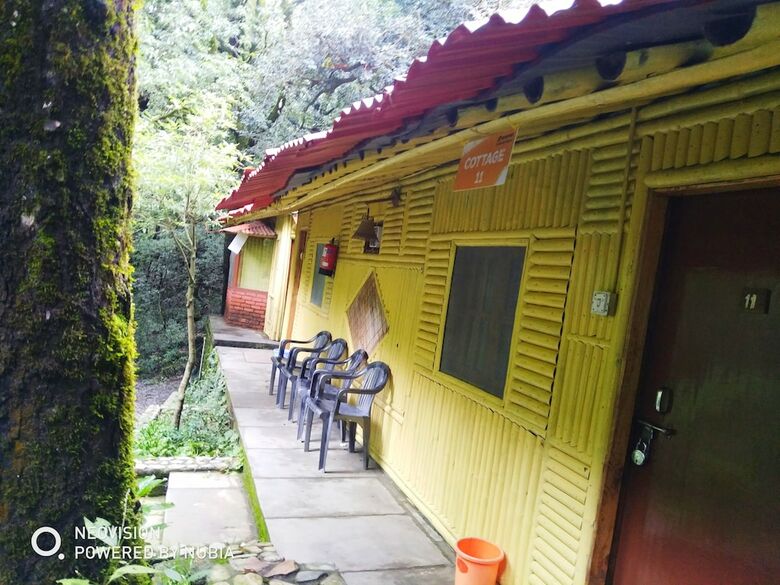 Hotel Ayar Jungle Lodges