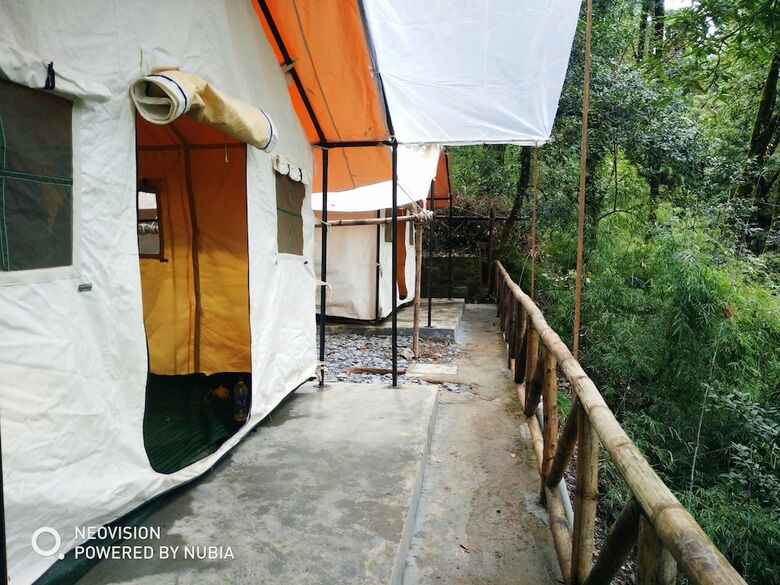Hotel Ayar Jungle Lodges