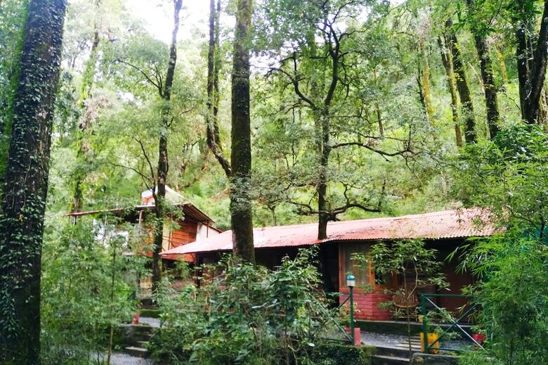 Hotel Ayar Jungle Lodges