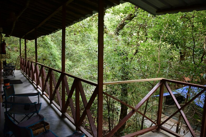 Hotel Ayar Jungle Lodges