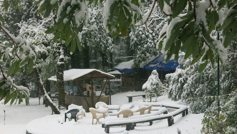 Hotel Ayar Jungle Lodges