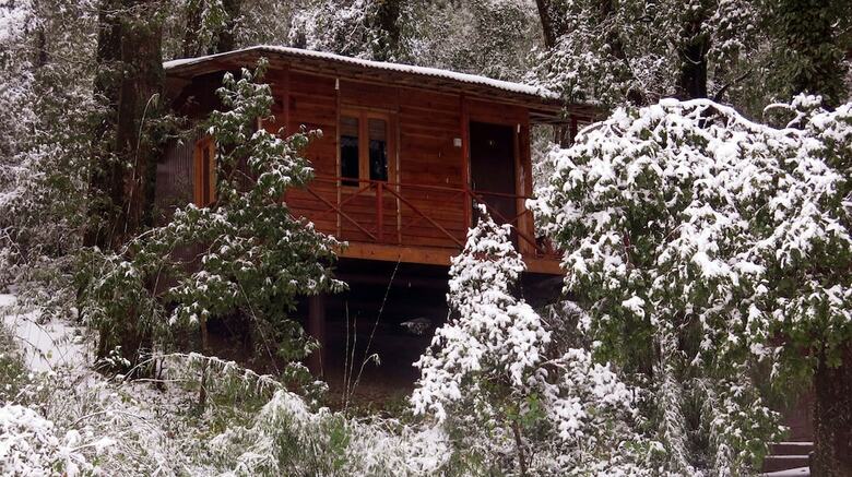 Hotel Ayar Jungle Lodges