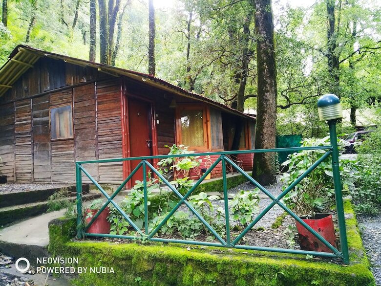 Hotel Ayar Jungle Lodges