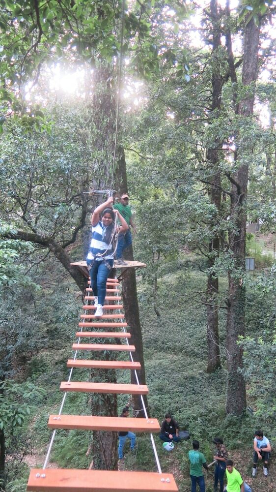 Hotel Ayar Jungle Lodges