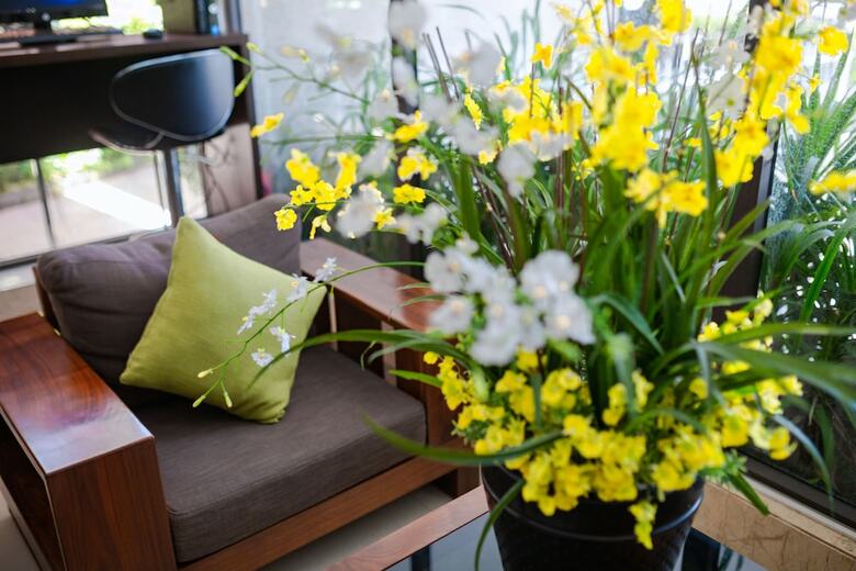 Ariel Homes Boutique Hotel