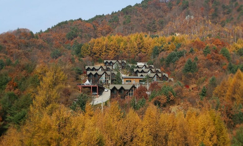 Hotel Chalet Resort