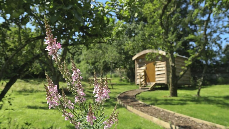 Orchard Hideaways