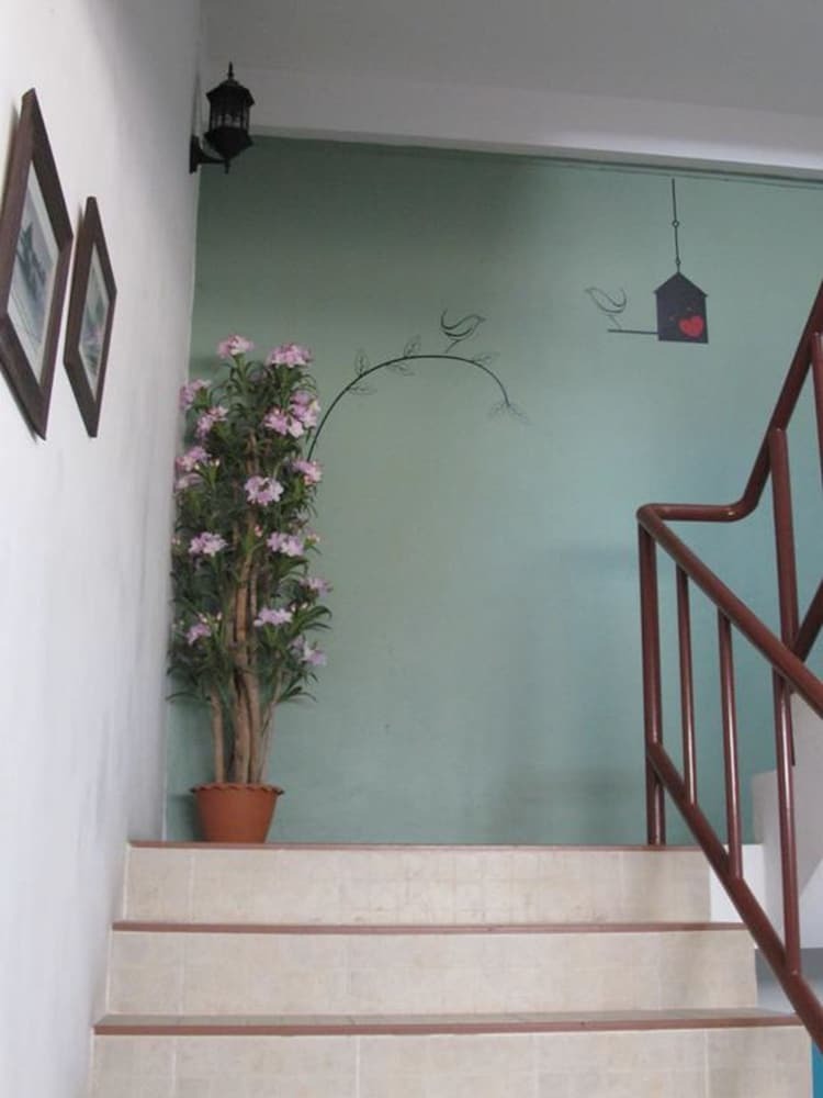 Hotel Machima House
