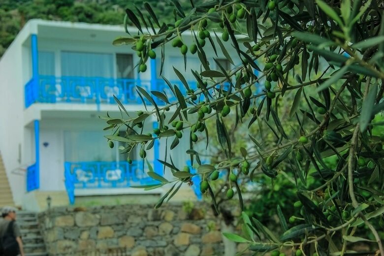 Hotel Assos Ayan Motel