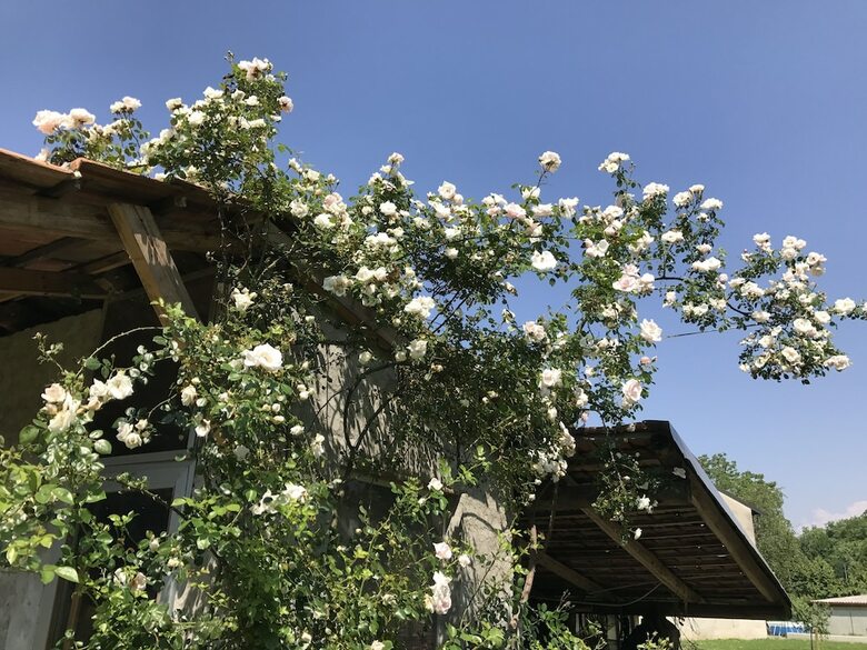 B&B By Lakes Orta Maggiore