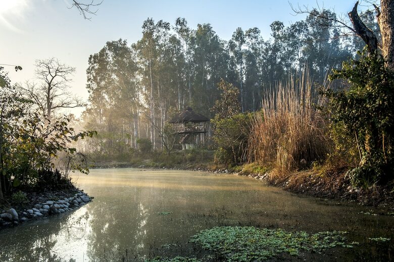 Hotel Jim's Jungle Retreat