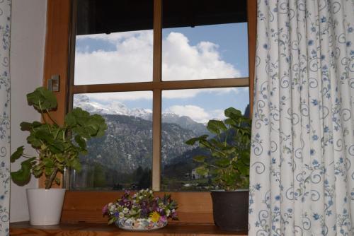Apartamento Alpenhof Punzenlehen
