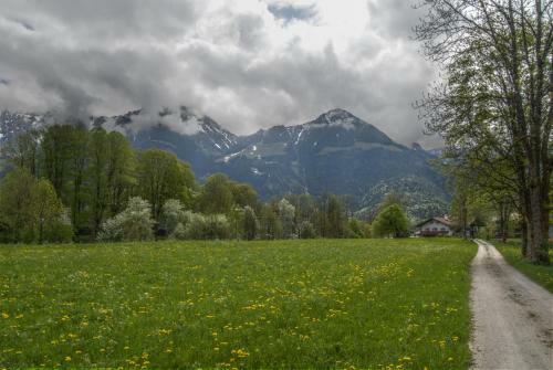Apartamento Alpenhof Punzenlehen