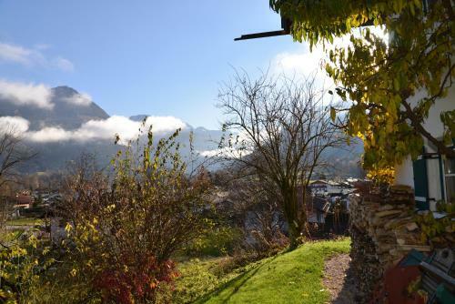 Apartamento Alpenhof Punzenlehen