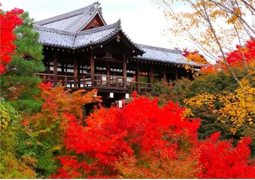 8inn Kyoto Kujo