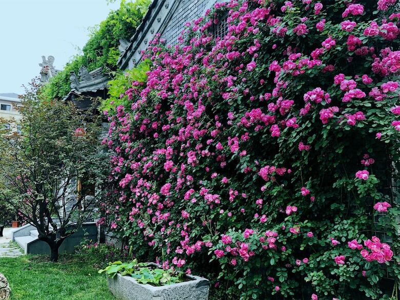 Hotel Xi'an Impression Nanhu Lake Homestay