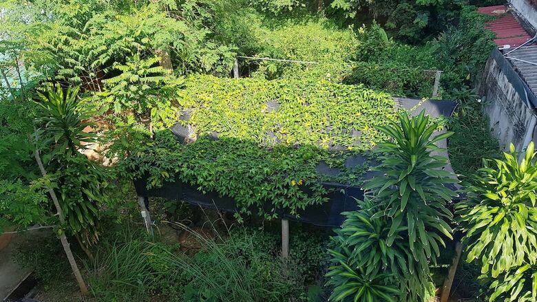 Hotel Elephant's End Guesthouse