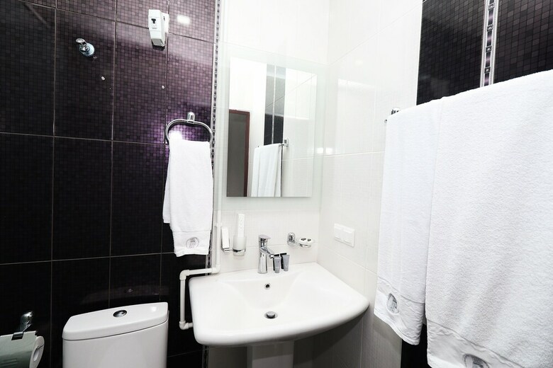 Hotel Tigran Mets