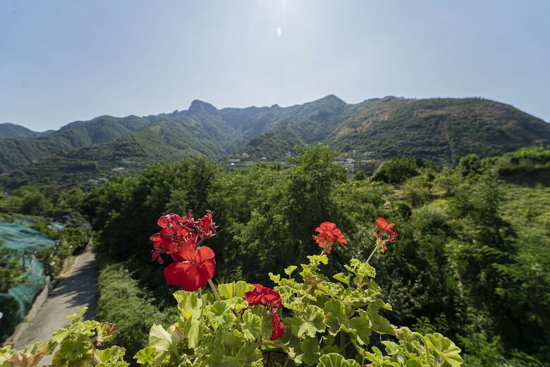 Bed & Breakfast Tra I Monti