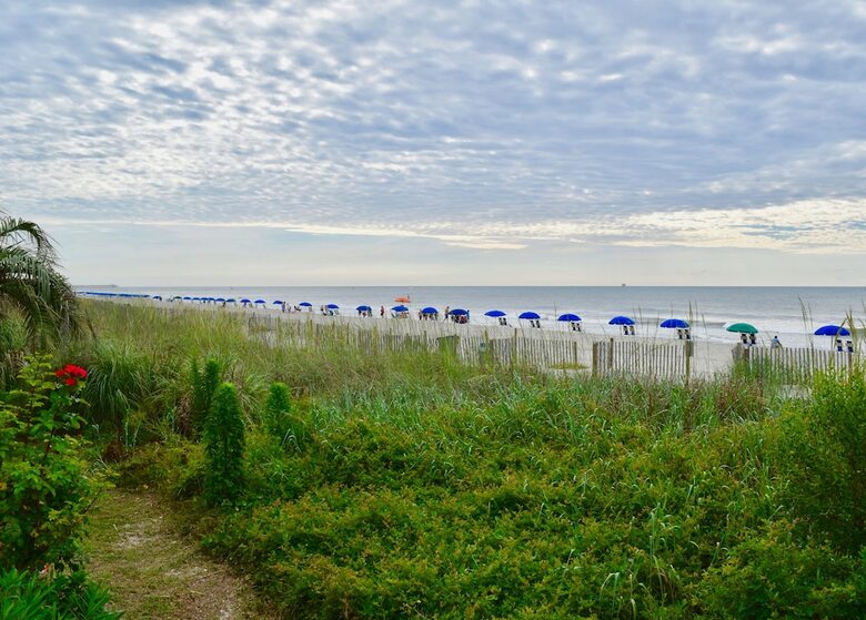Ocean Forest Colony By Capital Vacations