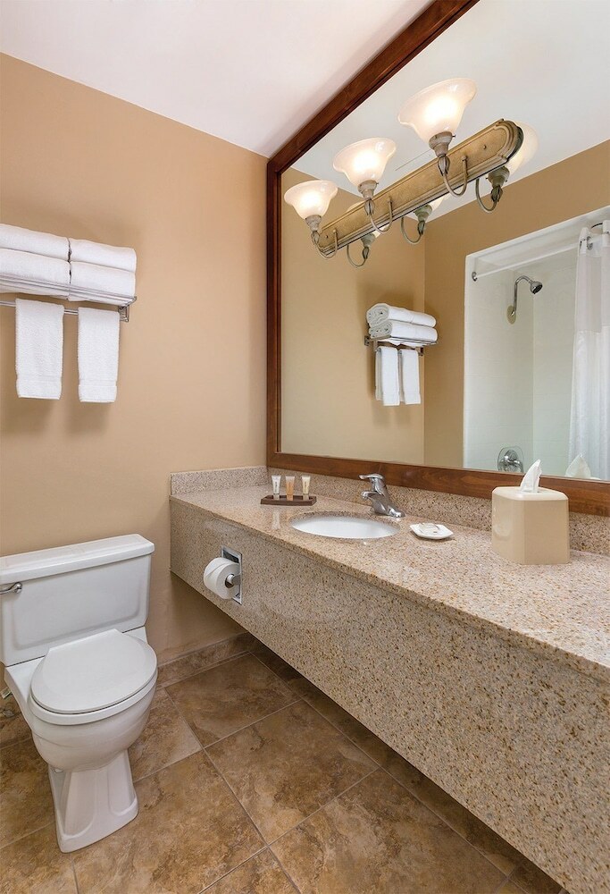 Hotel Worldmark Palm Springs - Plaza Resort And Spa