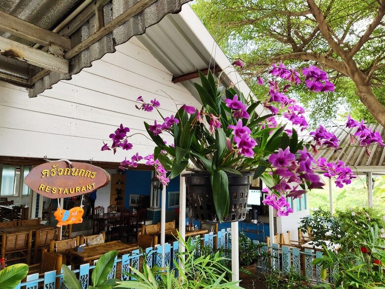 Hotel Convenient Resort