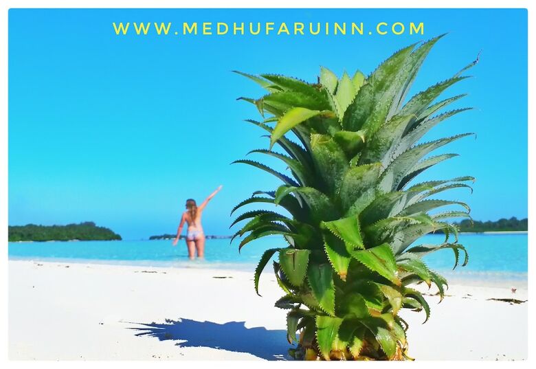 Hotel Medhufaru Inn
