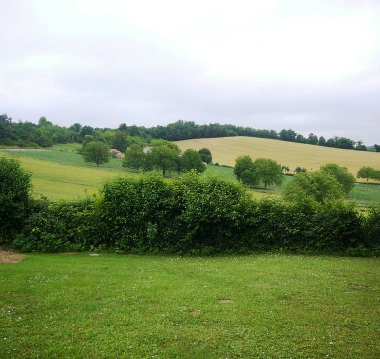 Les Gites De La Treille
