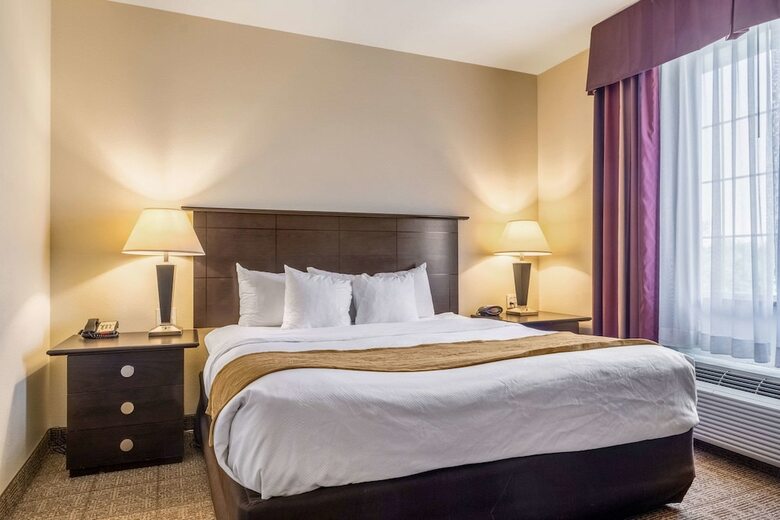 Hotel Comfort Suites Alexandria