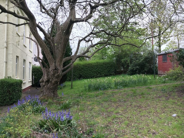 Apartamentos Glasgow Scotstoun Cottage Flat
