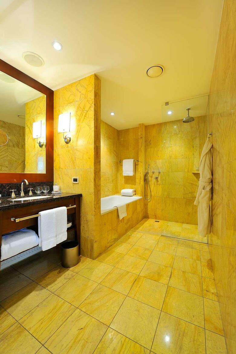 Hotel Hyatt Regency Warsaw