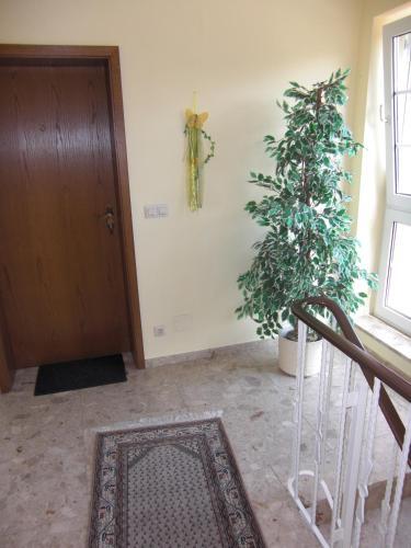 Apartamento Haus Nicole