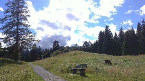 Hostal Landhaus Steinbrech