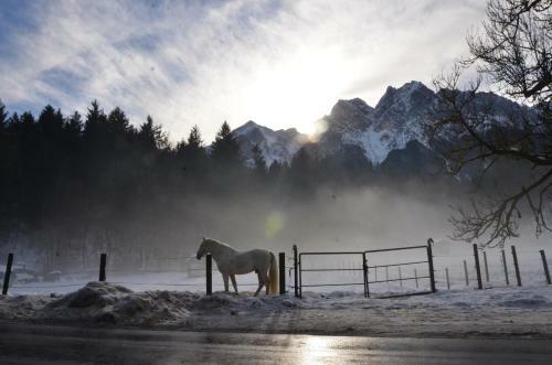 Hotel-pension Alpengl�ck