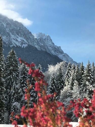 Hotel-pension Alpengl�ck