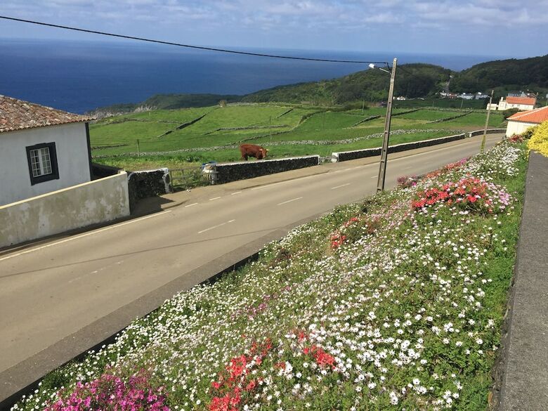 Apartamentos Serreta Island Home Al