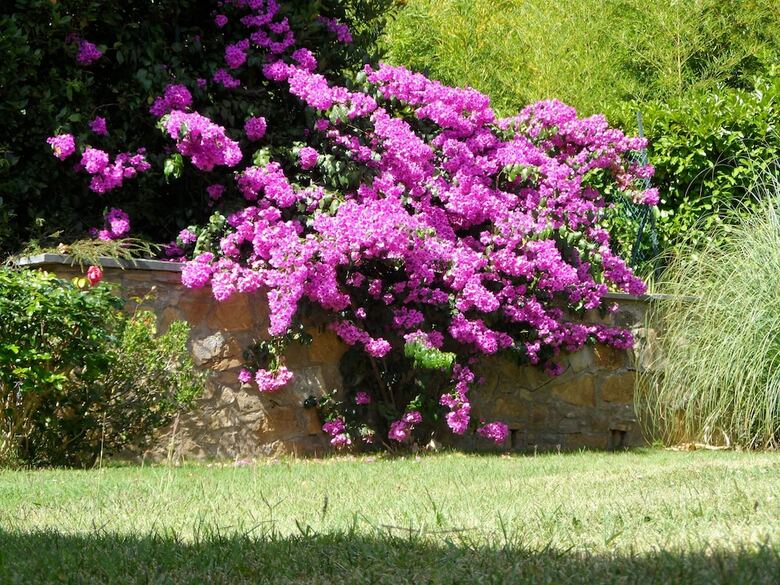 Apartamento Villa Il Borraccio