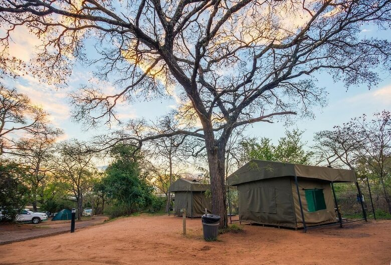Tented Adventures Pretoriuskop Rest Camp
