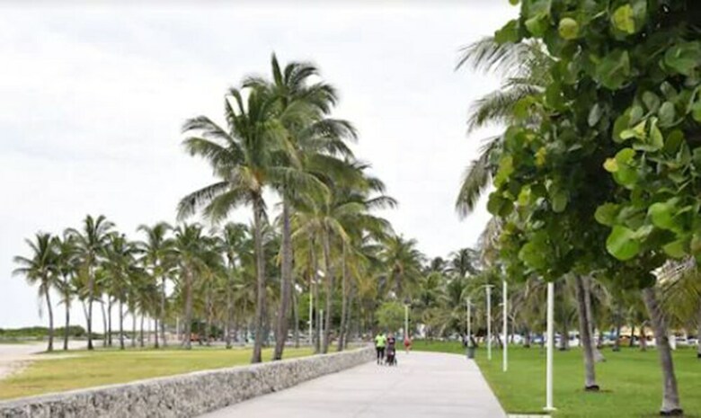 Apartamentos Palma Suites South Beach By Red Group Rentals