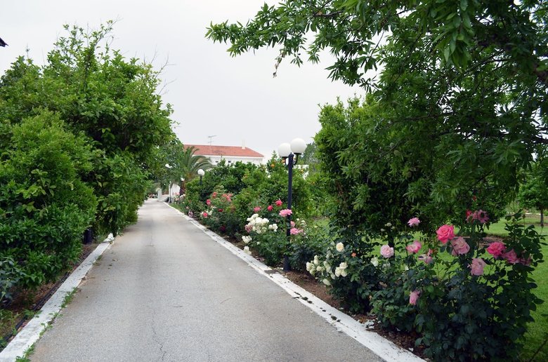 Hotel Olive Mansion Suites