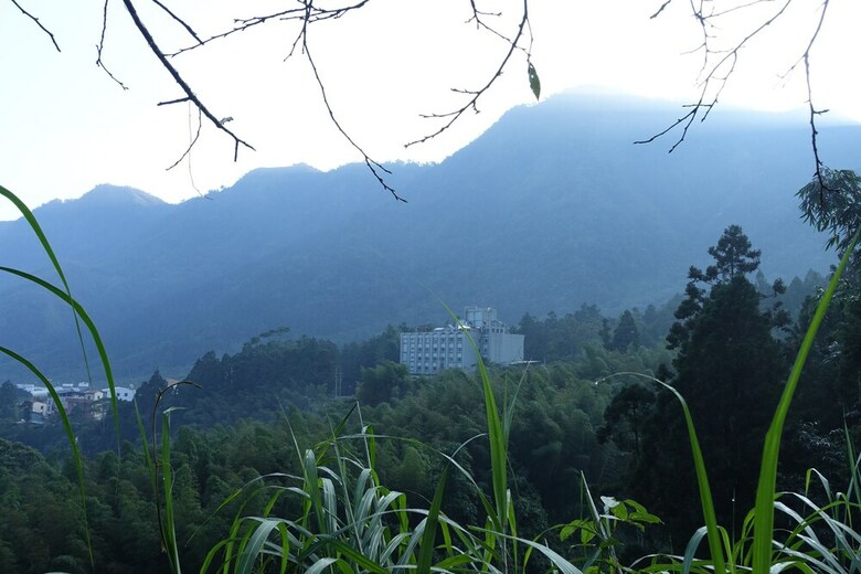 Ginkgo Hotel