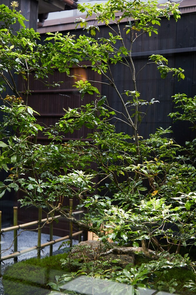 Yadoru Kyoto Washi No Yado