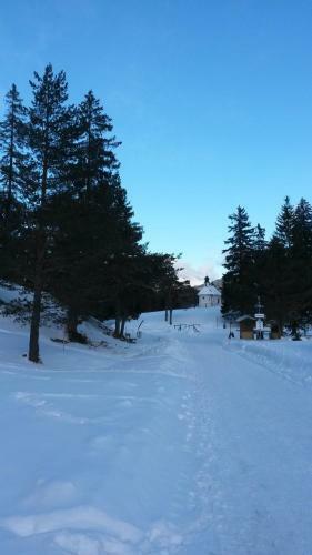 Hostal Pension Schwalbennestl