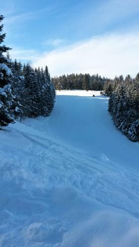 Hostal Pension Schwalbennestl