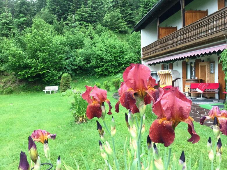 Hostal B�ckeralm� - Hotel Garni Am Schmalensee