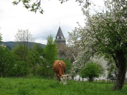 Apartamento Ferienwohnung Moos-hochsauerland