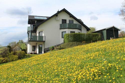 Apartamento Ferienwohnung Moos-hochsauerland