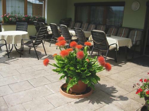 Hostal G�stehaus Steininger