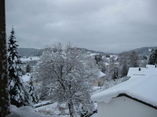 Hostal G�stehaus Steininger